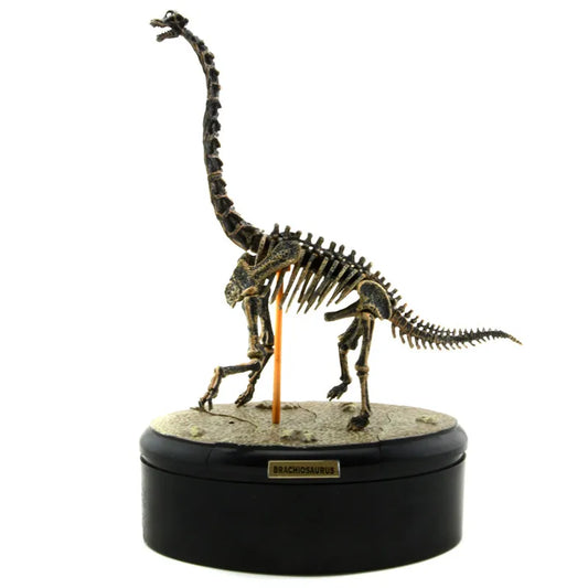 Dinosaur Skeleton Fossil ABS Assembly Dinosaurs Toys Model Building Kits Collection Jurassi Park T-rex Skull Decoration Craft