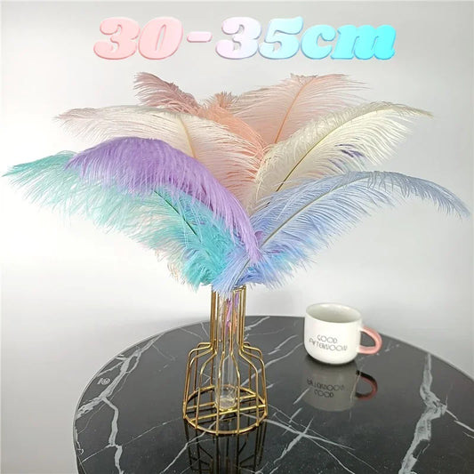 10Pcs/Lot Colored Ostrich Feathers for Crafts Wedding Decoration Handicraft Accessories Table Centerpieces Carnival Plumas De