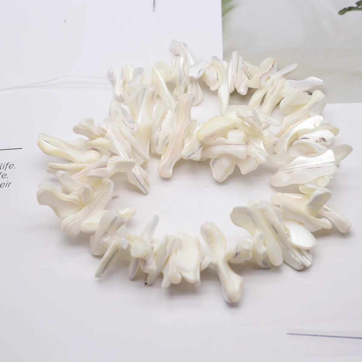 Natural Freshwater Shell Beading 18-25mm Irregular White Shell Loose Beads for Jewelry Making DIY Necklaces Bracelet Accessor