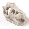 Resin Dinosaur Fossil Simulation Mini Dinosaur Ornaments Decorative Props Crafts Arts Artificial Decor for Fish Tank Aquarium