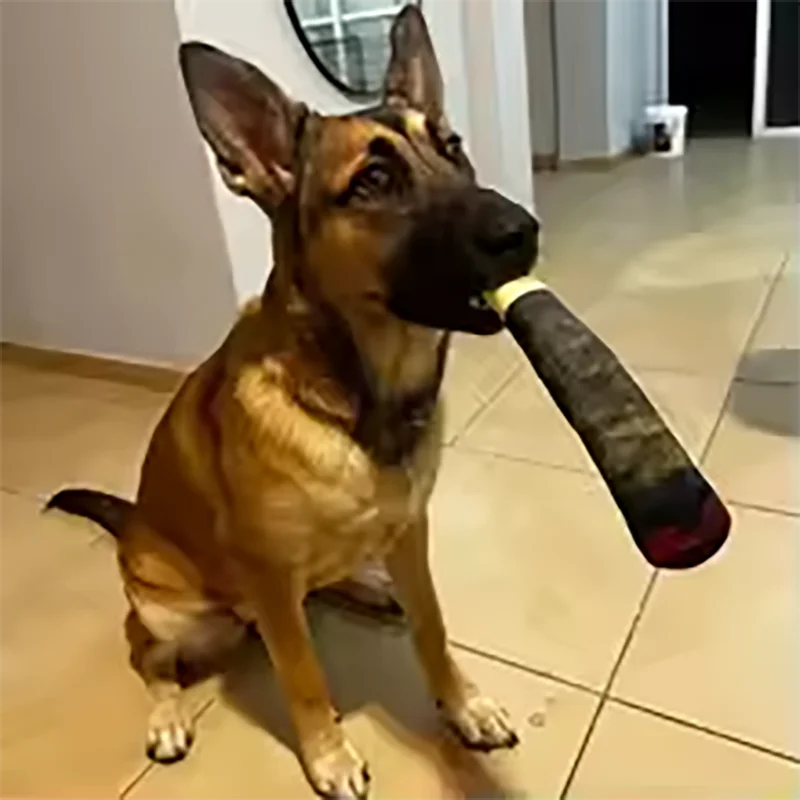 Funny Interactive Dog Toys Cigar Design Plush Squeaky Pet Toys Grinding Teeth Creative Chew Cool Stuffed Gifts for Dog Birthd