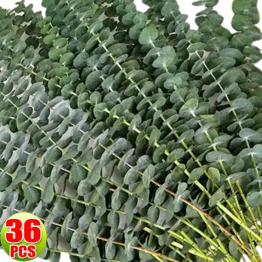 36/10PCS Artificial Eucalyptus Stems for Home and Weddings