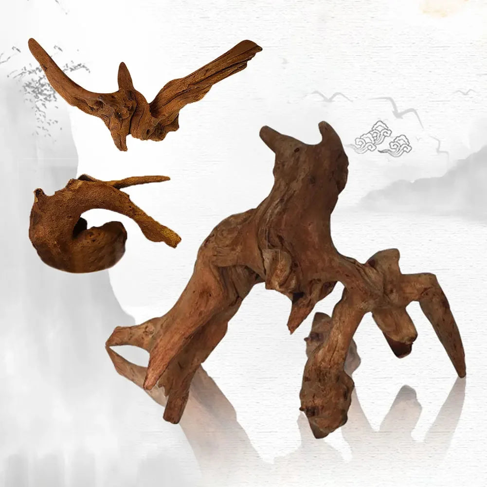 Driftwood Aquarium Decoration for a Natural Tank Look