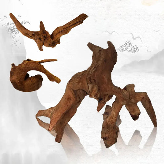 Driftwood Aquarium Decoration for a Natural Tank Look