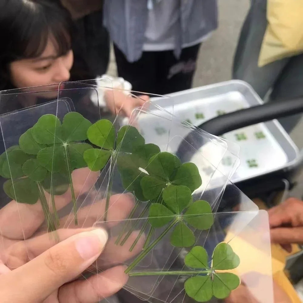5Pcs Lucky Clover Postcards Grass Transparent Wishing Cards Ideal for Bookmarks & Decorations Perfect Holiday Gifts