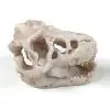 Resin Dinosaur Fossil Simulation Mini Dinosaur Ornaments Decorative Props Crafts Arts Artificial Decor for Fish Tank Aquarium