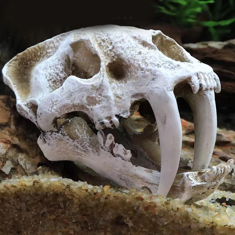 Dinosaur Skull Model Velociraptor Fossil Resin Skull Lifelike Dinosaur Skeleton Statue Figurine Aquarium Decorations Accessor