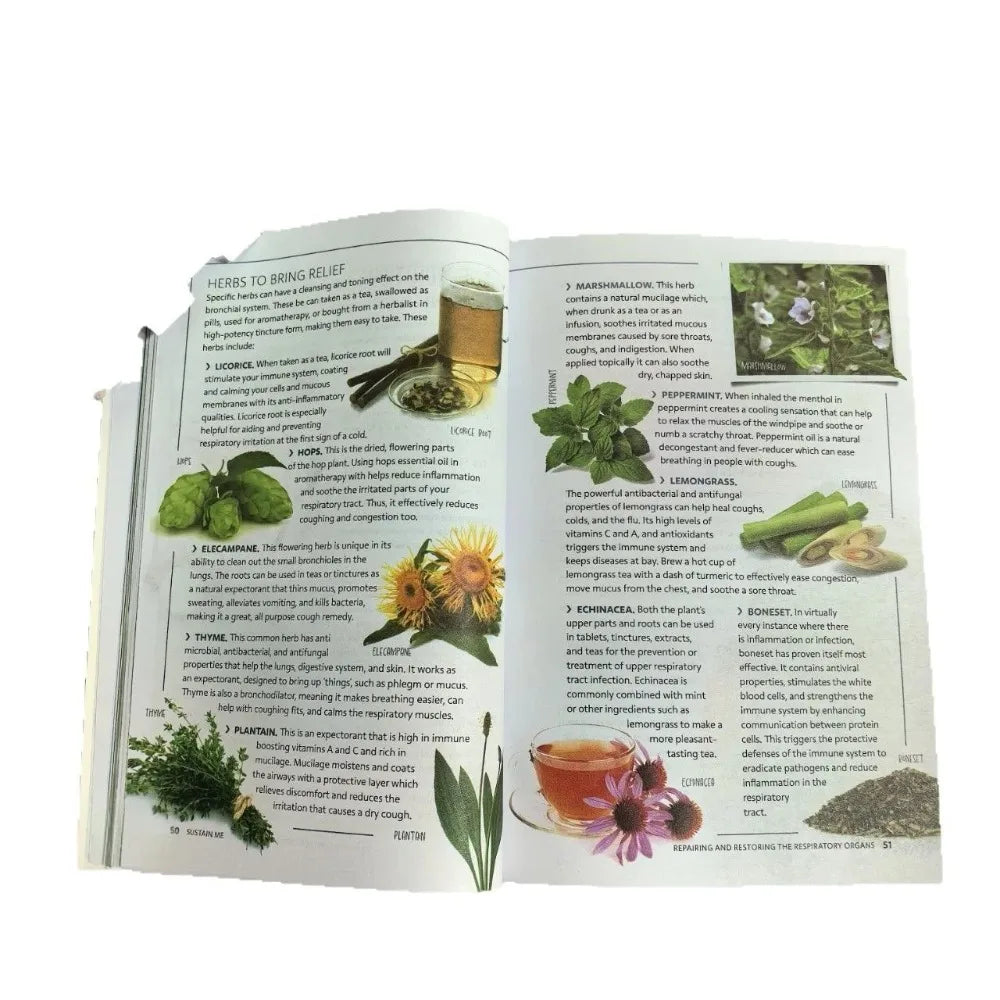 Sustain Me English Paperback by Barbara O'Neill 9 Foundational Pillars for Health Natural Holistic Wellness Guide Book