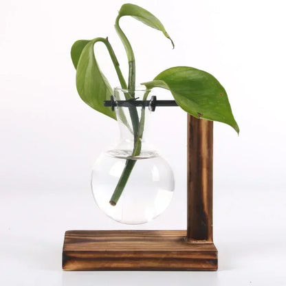 Hydroponic Plant Terrarium Vasevase Decoration Home Glass Bottle Hydroponic Desktop Decoration Office Green Plant Small Potte