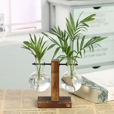 Hydroponic Plant Terrarium Vasevase Decoration Home Glass Bottle Hydroponic Desktop Decoration Office Green Plant Small Potte