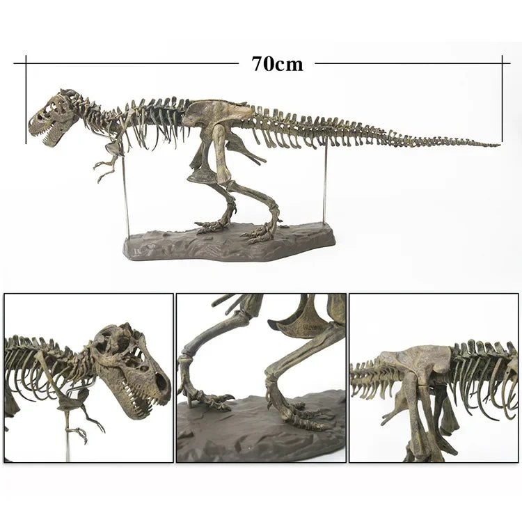4D Tyrannosaurus Rex Excavation Science Kit Dig Up Dinosaur and Assemble a 4D Skeleton Ancient Animal Fossil Skull