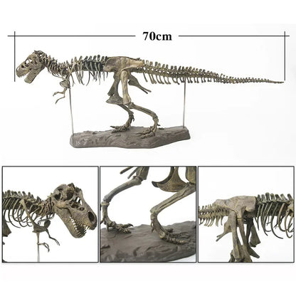 4D Tyrannosaurus Rex Excavation Science Kit Dig Up Dinosaur and Assemble a 4D Skeleton Ancient Animal Fossil Skull