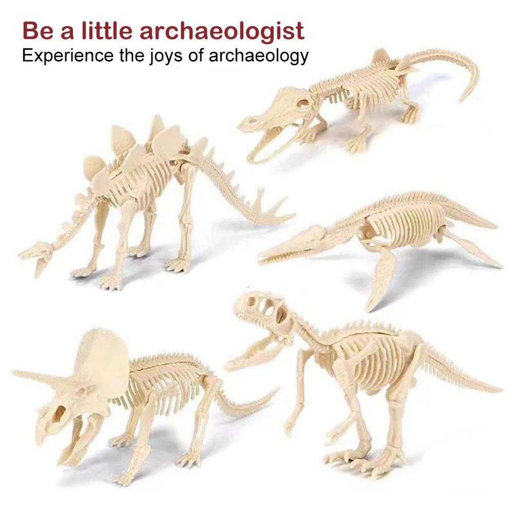 Simulation Dinosaur Fossil Plastic Skeleton Model Children's DIY Handmade Dinosaur Skeleton Assembly Kit Tyrannosaurus Rex Mo