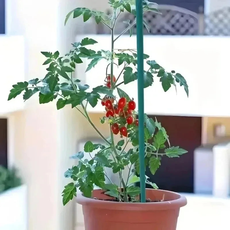 Plant Support Sticks Canes Bamboo Plants Stakes Potted Plants Tomato Sticks Supports Flower Sticks Climbing Plant Garden Tool