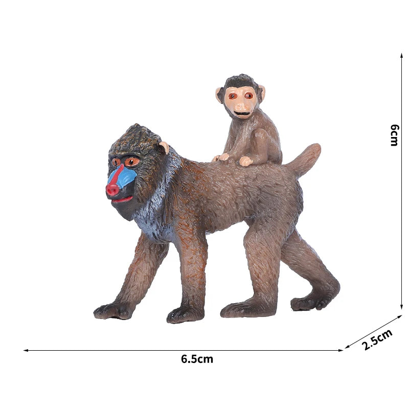 Simulation Wild Animal Model Wolf Monkey Fox Pangolin Squirrel Chinchilla Donkey Sloth Realistic Animal Figures Toys For Kids