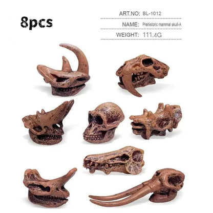Solid Dinosaur Fossil Model Simulation Hand-painted Vivid Carnotaurus Dinosaur Skull Fossil Figurine for Kids Home Decor