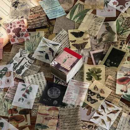 366pcs Scrapbook Paper Craft Vintage Scrapbooking Paper Art Junk Journal Supplies Deco Sticker Natural Collection Material Pa
