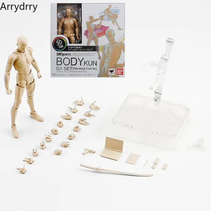 Sketch Draw Figurines Male Female Movable Body Kun Body Chan Joint Pain Anime Figure Shf Action Figure Toy Model Draw Mannequ