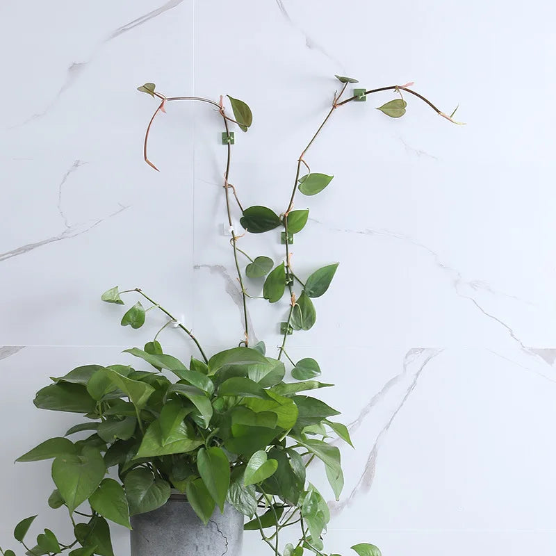 10 plant climbing wall fixing clips, vine fixing clips, self-adhesive plant climbing wall fixing hooks without drilling holes