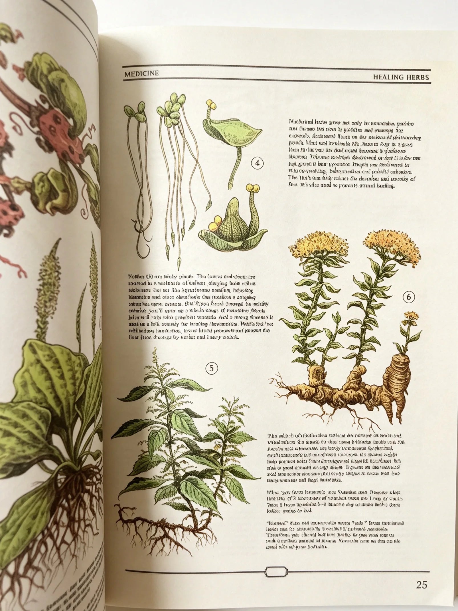 The Ultimate Guide to Rebuilding Civilization, Full‑Color Illustrated Science Book