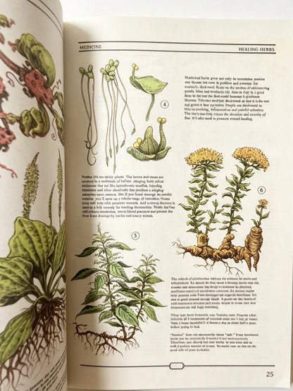 The Ultimate Guide to Rebuilding Civilization, Full‑Color Illustrated Science Book