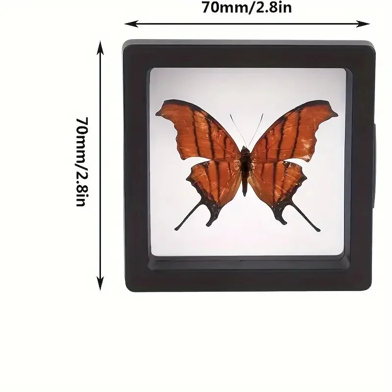 20Pcs Clearview 3D Floating Display Cases Dustproof Acrylic Jewelry Storage Box with Elastic Film Transparent Hanging Organiz