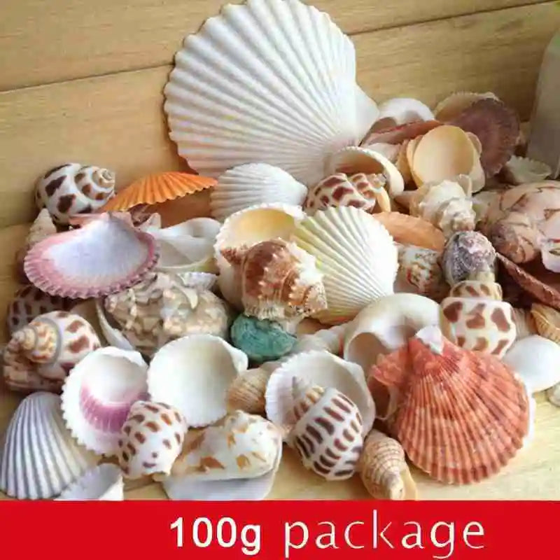 100g/bag Mixed Sea Beach Conch Shells Crafts Seashells Mini Natural Conch Corn Screw DIY Aquarium Landscape Decor Photo Props