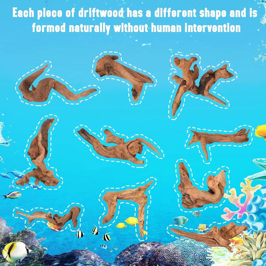 3/6PCS Natural Small Driftwood for Aquarium Decor Fish Tank Decorations Decor Assorted Driftwood Branch Reptile Tank Wood Dec