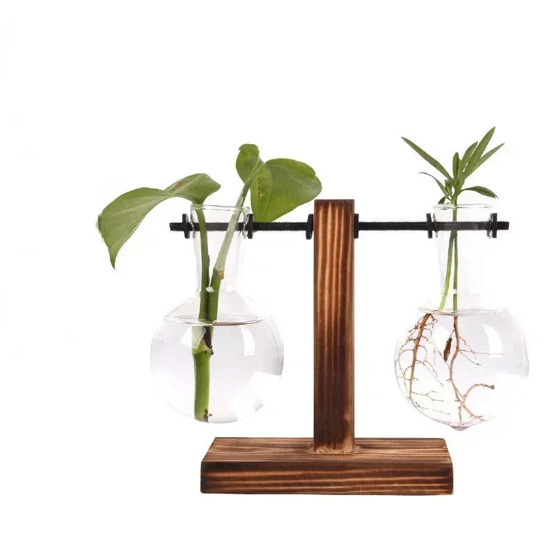 Hydroponic Plant Terrarium Vasevase Decoration Home Glass Bottle Hydroponic Desktop Decoration Office Green Plant Small Potte