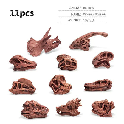 Solid Dinosaur Fossil Model Simulation Hand-painted Vivid Carnotaurus Dinosaur Skull Fossil Figurine for Kids Home Decor