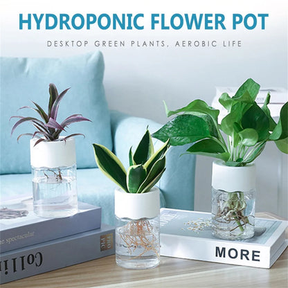 Mini Hydroponic Flower Pot Home Vase Decor Transparent Imitation Glass Soilless Plant Pots Green Plants Pot For Home Decorati