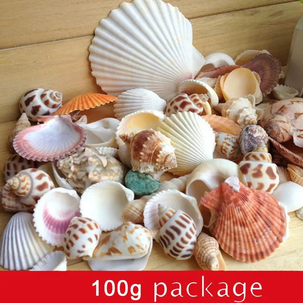 100g/bag Mixed Sea Beach Conch Shells Crafts Seashells Mini Natural Conch Corn Screw DIY Aquarium Landscape Decor Photo Props
