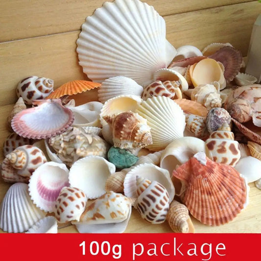 100g/bag Mixed Sea Beach Conch Shells Crafts Seashells Mini Natural Conch Corn Screw DIY Aquarium Landscape Decor Photo Props