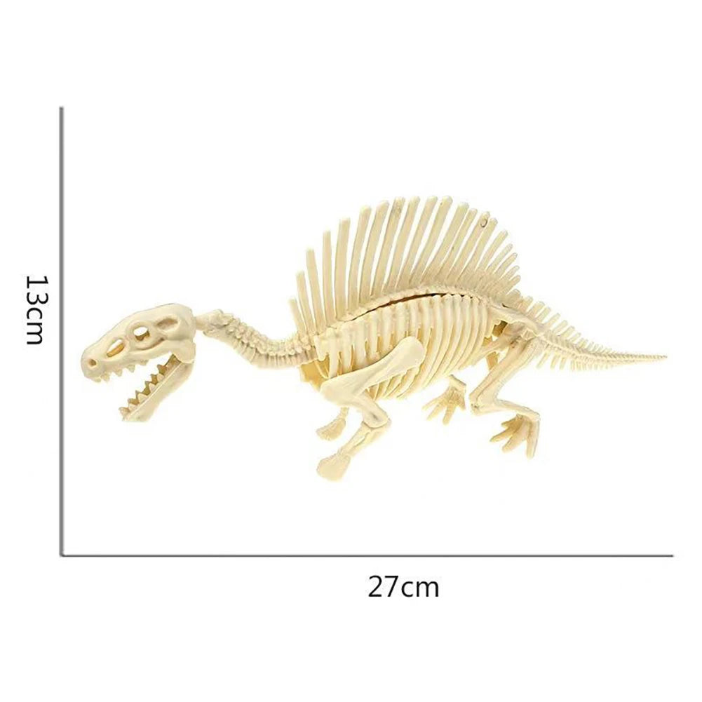 Simulation Dinosaur Fossil Plastic Skeleton Model Children's DIY Handmade Dinosaur Skeleton Assembly Kit Tyrannosaurus Rex Mo
