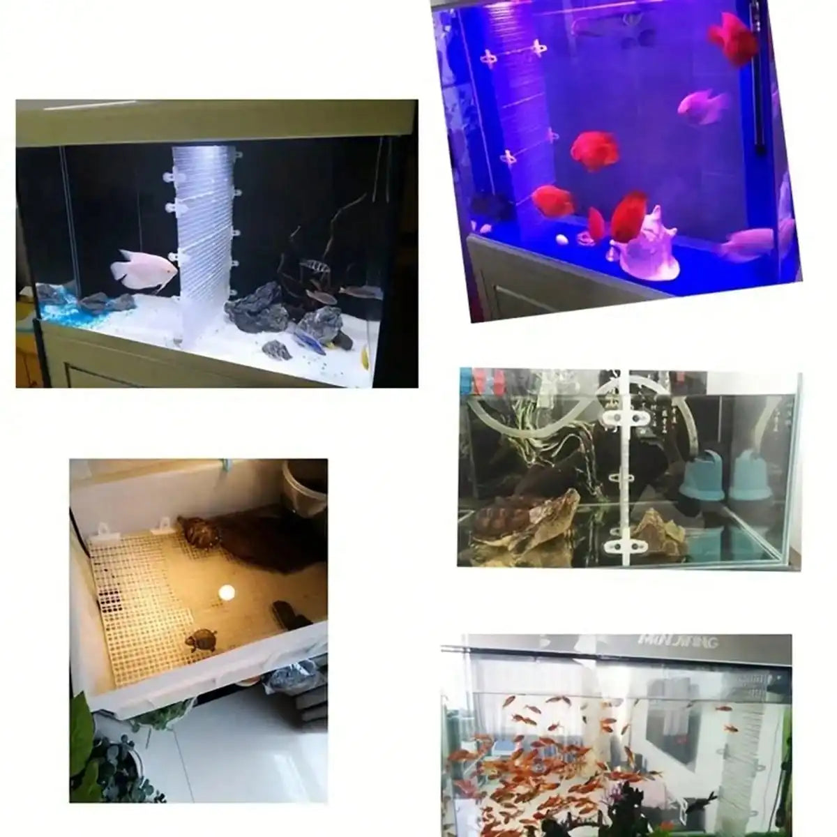Adjustable Aquarium Divider Grid with Suction Cups Freely Move Up Down Ideal for Fish Tank Partitioning Easy to Install