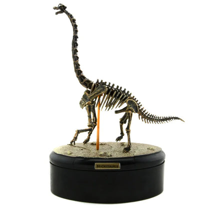 Dinosaur Skeleton Fossil ABS Assembly Dinosaurs Toys Model Building Kits Collection Jurassi Park T-rex Skull Decoration Craft