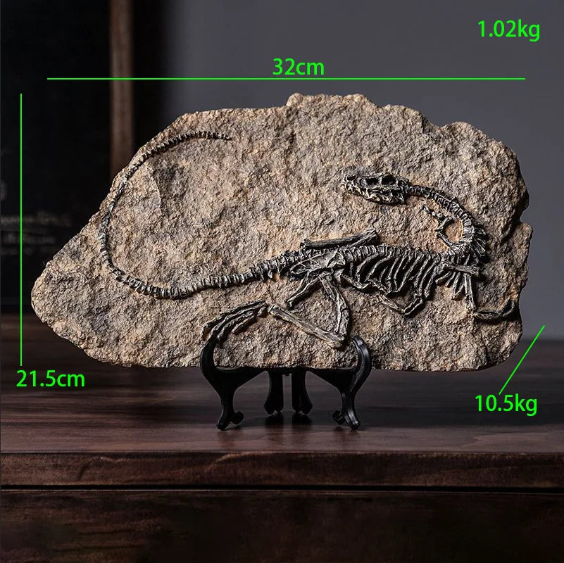 Simulated Dinosaur Fossil Model Resin Accessories Art Home Living Room Statue Decoration Items Study Office Sculpture Ornamen
