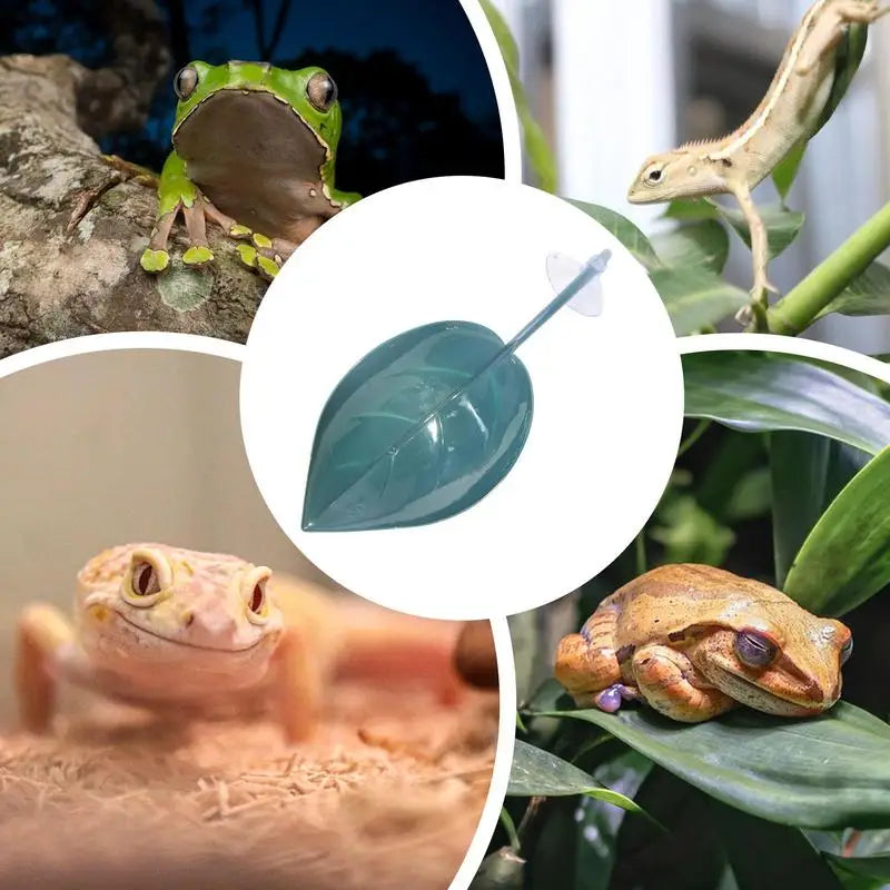 Frog Habitat Leaf Suction Cup Reptile Basking Area Resting Terrace Suction Cups Tank Accessories simulated leaves For Geckos