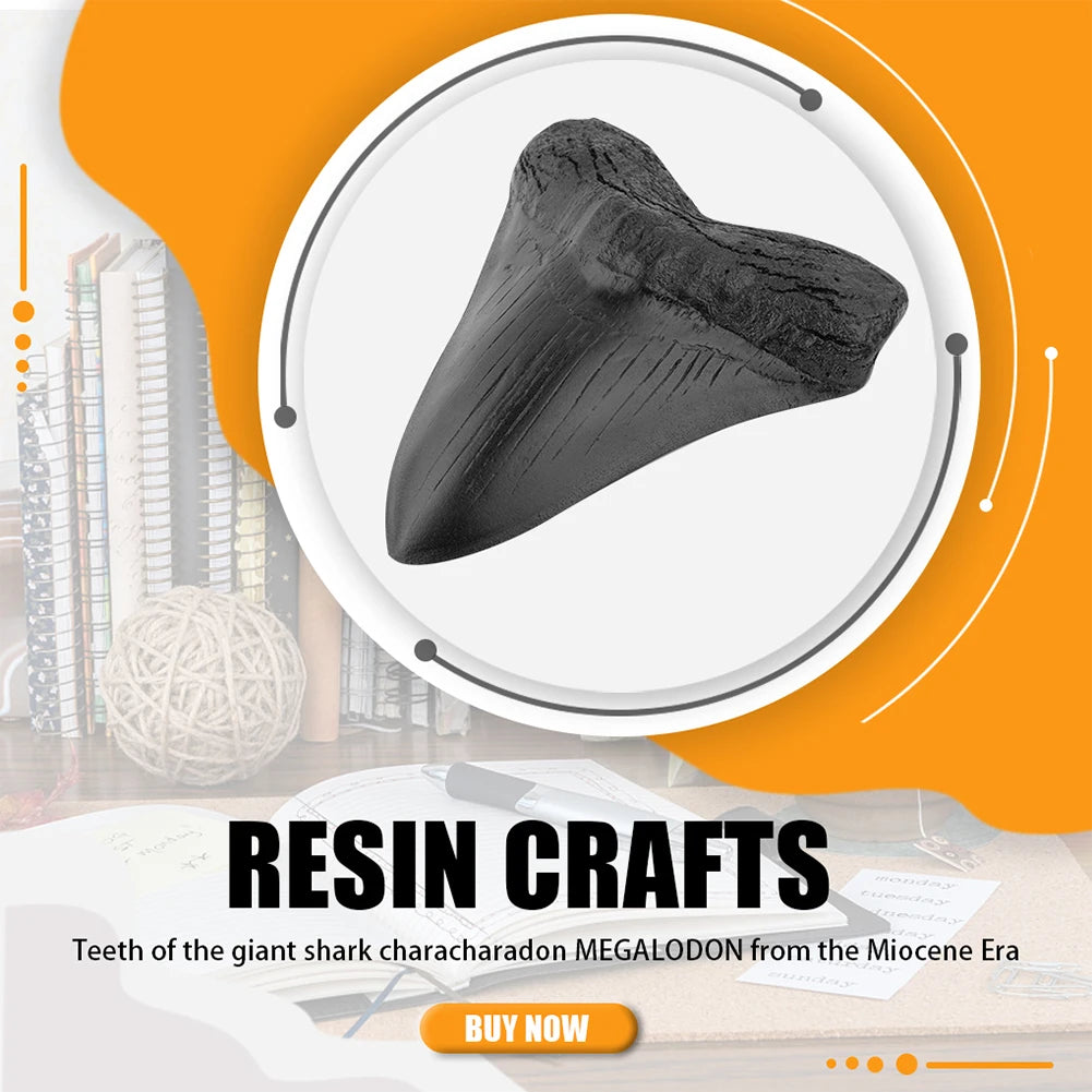 Black Shark Teeth Fossil 5inch Giant Megalodon Tooth Home Decoration Shark Tooth Replica Marine Bology Teaching Props Best Gi