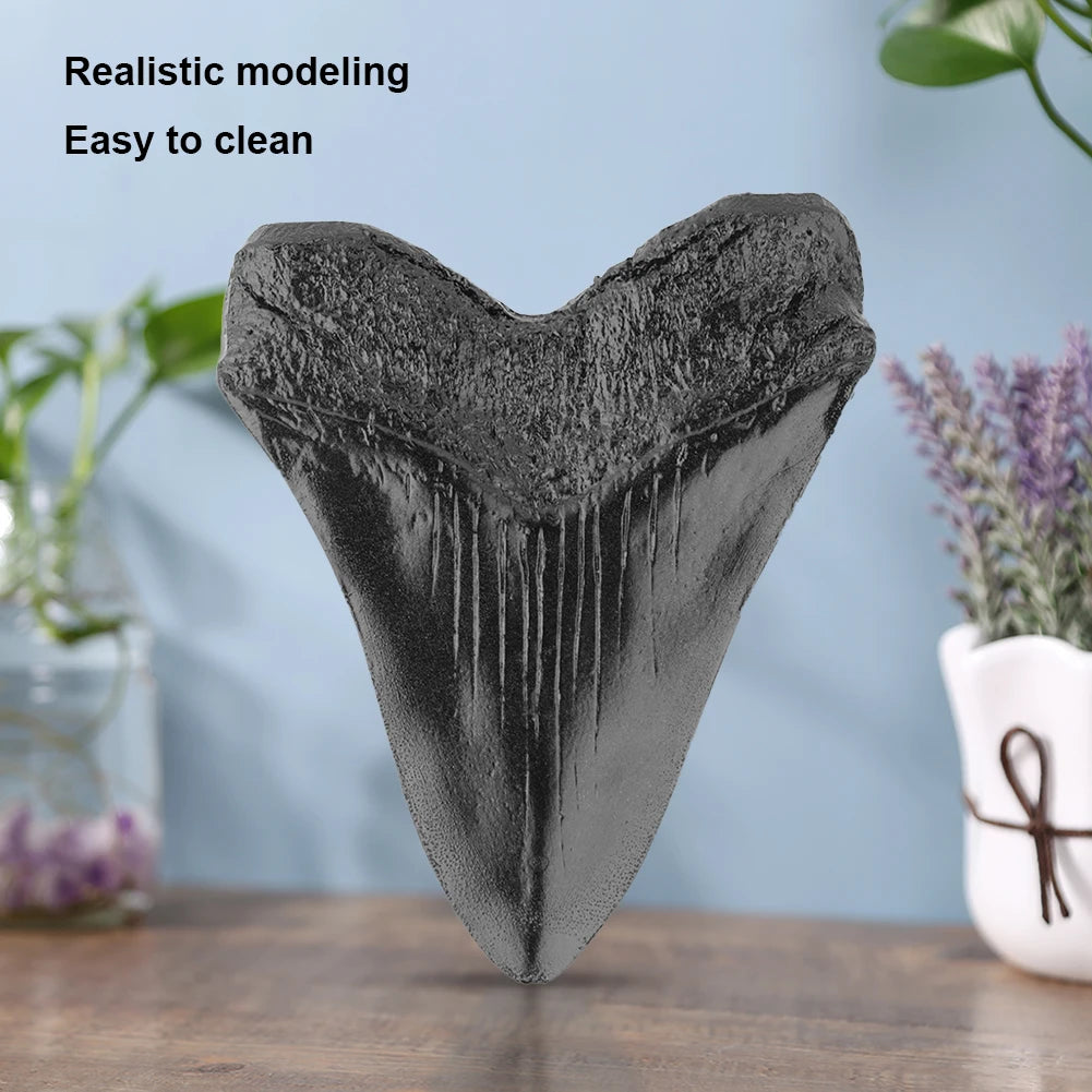 Black Shark Teeth Fossil 5inch Giant Megalodon Tooth Home Decoration Shark Tooth Replica Marine Bology Teaching Props Best Gi