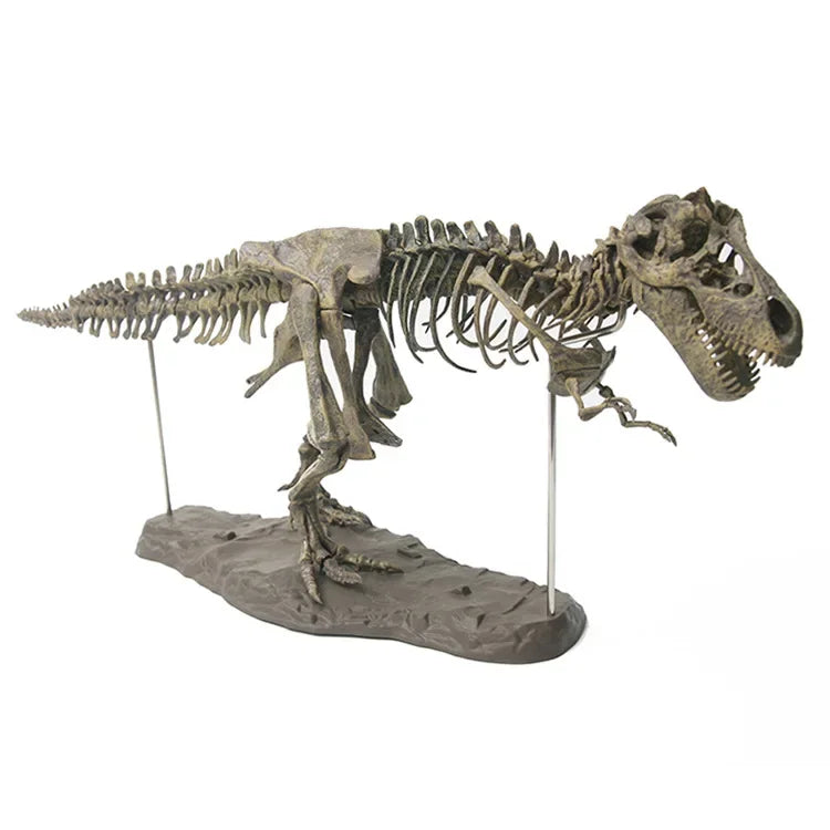 4D Tyrannosaurus Rex Excavation Science Kit Dig Up Dinosaur and Assemble a 4D Skeleton Ancient Animal Fossil Skull