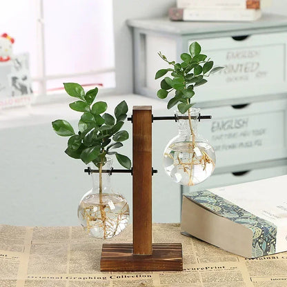 Hydroponic Plant Terrarium Vasevase Decoration Home Glass Bottle Hydroponic Desktop Decoration Office Green Plant Small Potte