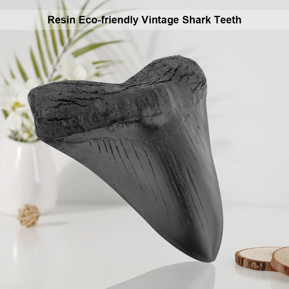 Black Shark Teeth Fossil 5inch Giant Megalodon Tooth Home Decoration Shark Tooth Replica Marine Bology Teaching Props Best Gi