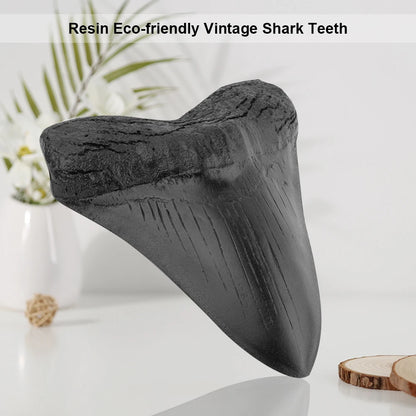 Black Shark Teeth Fossil 5inch Giant Megalodon Tooth Home Decoration Shark Tooth Replica Marine Bology Teaching Props Best Gi