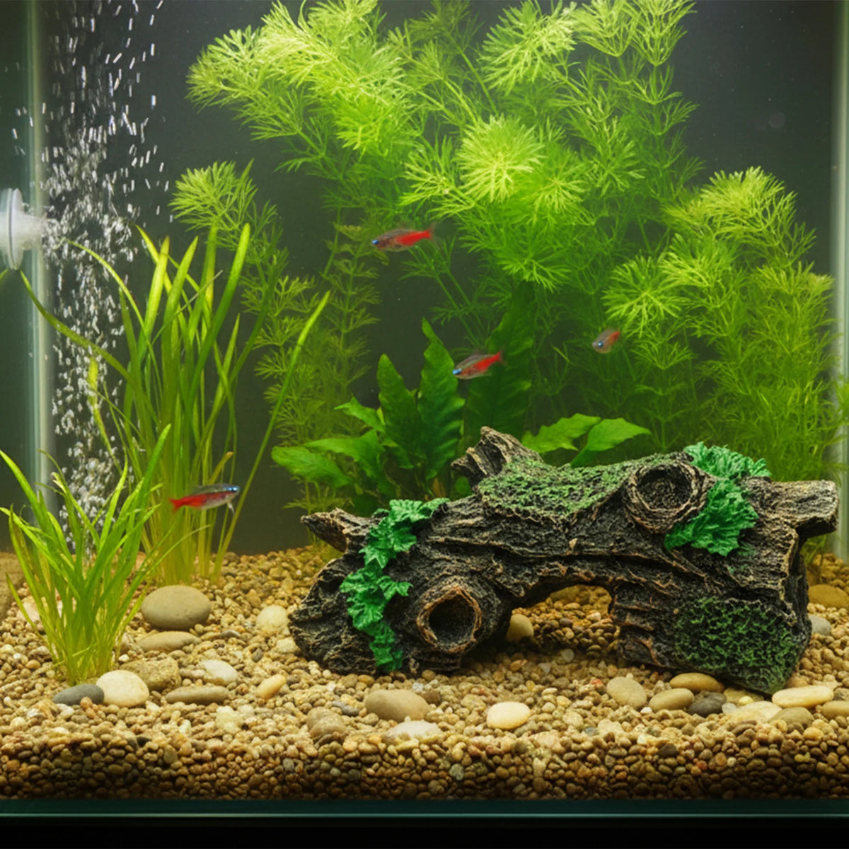 Aquarium Driftwoods Decor Tree Root Hideout for Fish and Shrimp Resting Spawning and Shelter Natural Durable and Corrosion