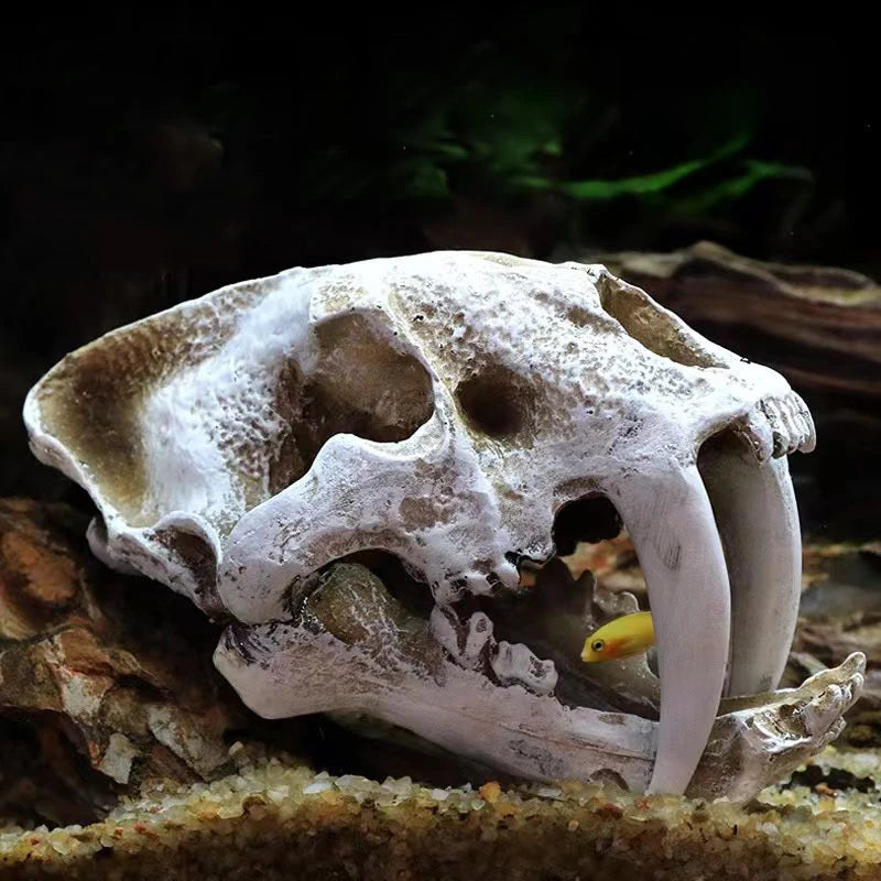 Dinosaur Skull Model Velociraptor Fossil Resin Skull Lifelike Dinosaur Skeleton Statue Figurine Aquarium Decorations Accessor