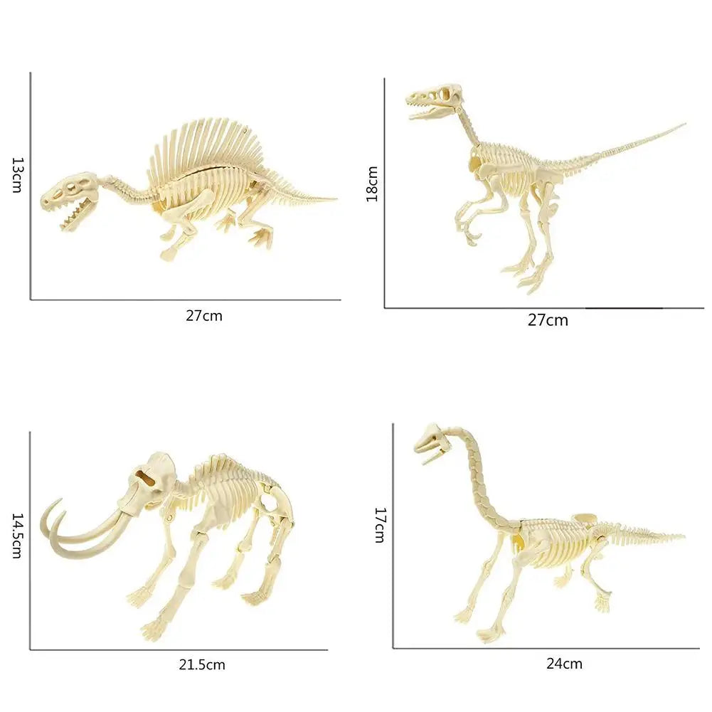 DIY Assembly Dinosaur Fossil Skeleton Mosasaurus Tyrannosaurus Action Figure Collection Creative Model Kid Toy