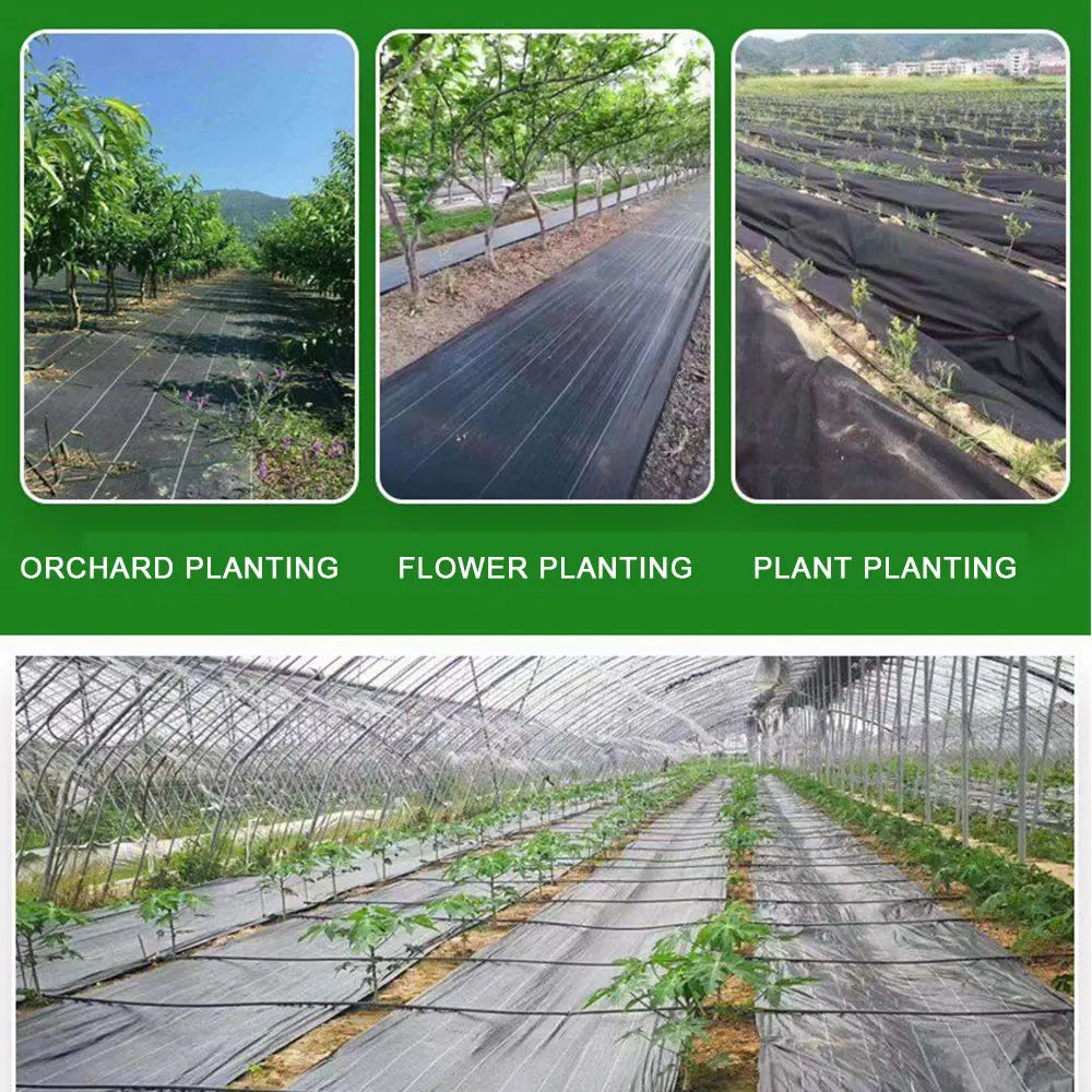 16.4ft/32.8ft PE Woven Weed Control Fabric for Plant Anti Grass Agricultural Mulch Cloth Greenhouse Weeding Mat Water Permeab