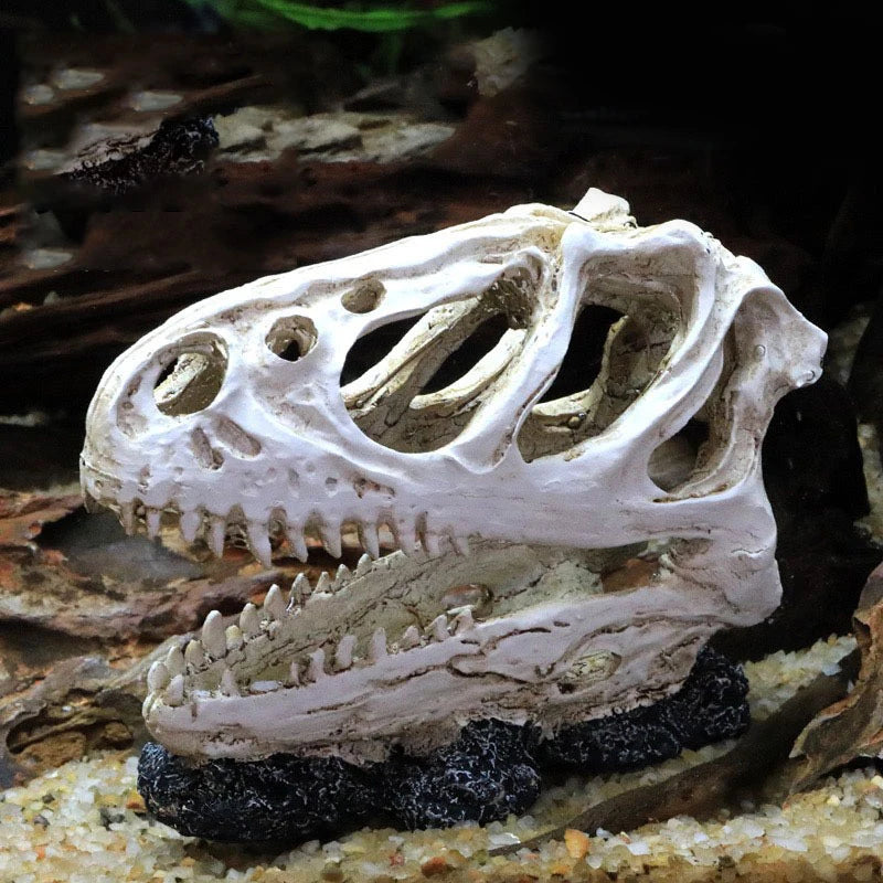 Dinosaur Skull Model Velociraptor Fossil Resin Skull Lifelike Dinosaur Skeleton Statue Figurine Aquarium Decorations Accessor