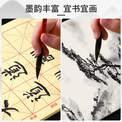M&G Chinese Ink Refined Ink Black Liquid Traditional Calligraphy Brushstrokes 100/250/500ml Writing & Drawing